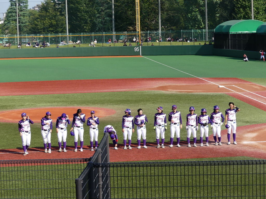 女子プロ野球 場外編 サヨナラヒットの野球ブログ １ 過去記事編