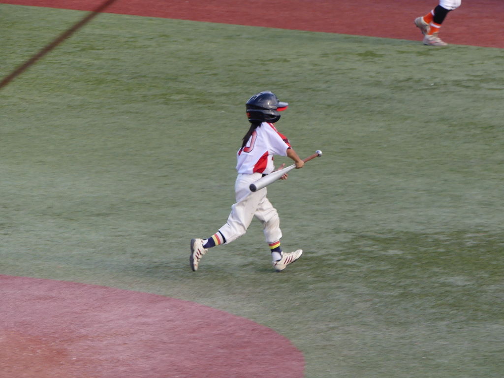 女子プロ野球 場外編 サヨナラヒットの野球ブログ 1 過去記事編 女子プロ野球 場外編 サヨナラヒットの野球ブログ 1 過去記事編