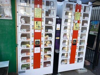 もう一つの野菜ボックス