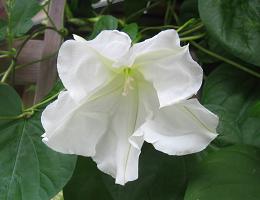 0c6cd012.jpg