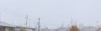 雪4