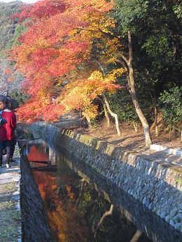 哲学の道4