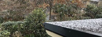 雪1
