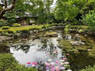 あじさいうかぶ池