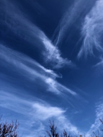 kumo