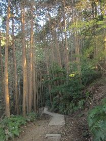 墓への山道