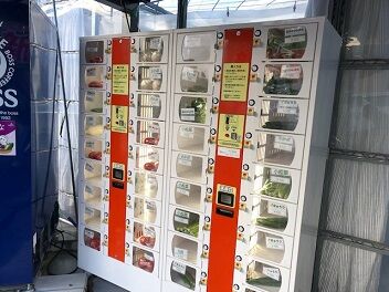 戸田さんちの野菜ボックス