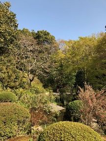 ⑫詩仙堂緑の庭