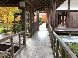 ★安楽寺回廊と紅葉