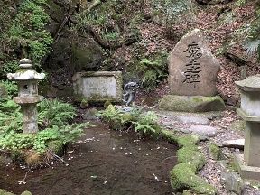33 放生池