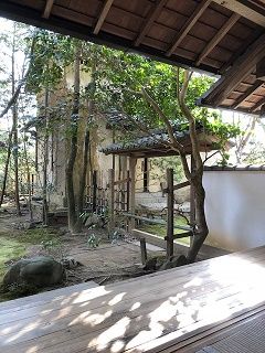 陽射しの縁