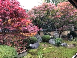 興臨院脇庭紅葉