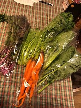 きょうゲットした上賀茂野菜