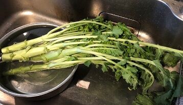 新京野菜らフラン