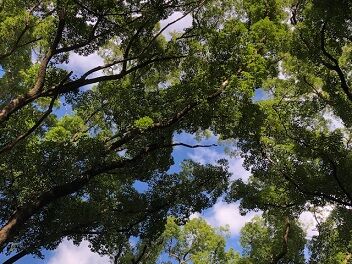 渉渓園の隣の空き地d