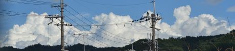比叡三郎か桃山四郎1