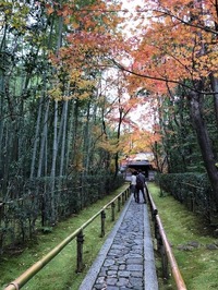★高桐院アプローチ