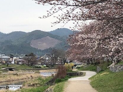 咲くラフな凹