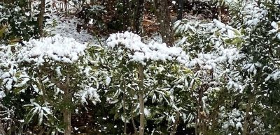 雪の日