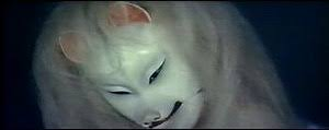 狐