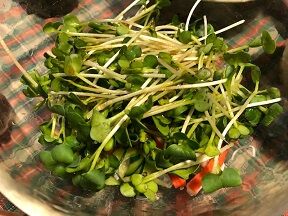 ★ハルサメの中華風サラダ