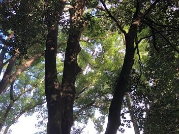 渉渓園のとなりで3