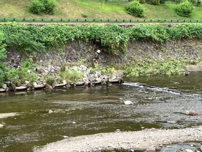 河川敷の草刈り