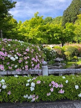 妙満寺４