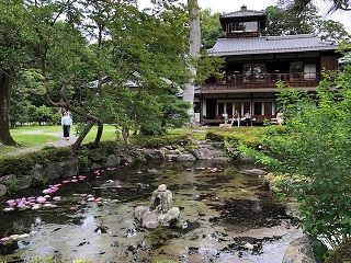 アジサイを浮かべた三井別邸の庭の池