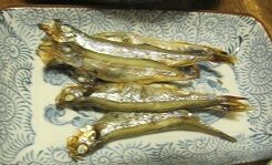 ☆シシャモ