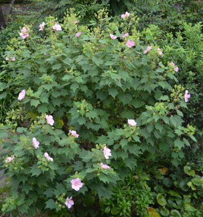 上から全体をみる