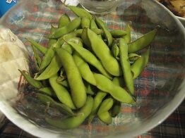 枝豆