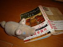 a48363e9.jpg