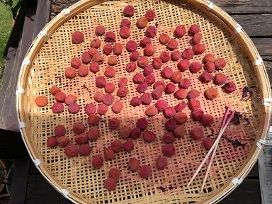梅干し