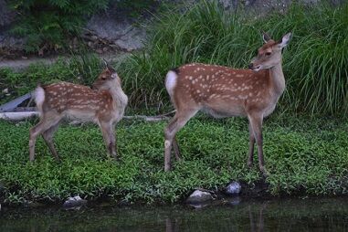 ★ずっと後ろを警戒