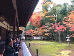 ★高桐院庭の紅葉2