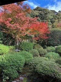 ★安楽寺庭