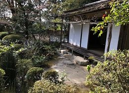 ⑨詩仙堂椿と建物