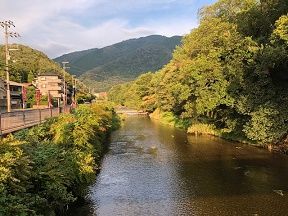 蓮華寺の前の川 山側
