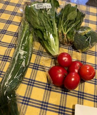 今日の野菜