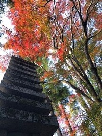 ★法然院紅葉4