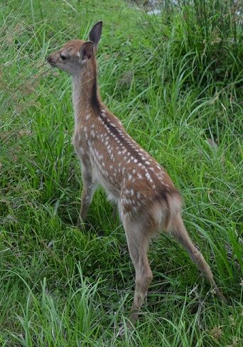こんな姿が可愛い