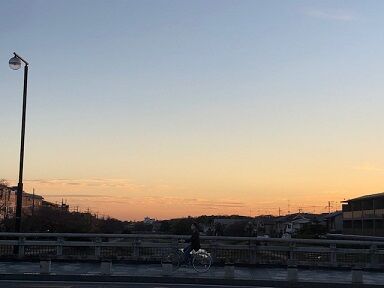 夕映えの西南天