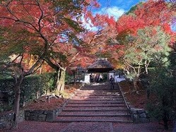 ★安楽寺紅葉1