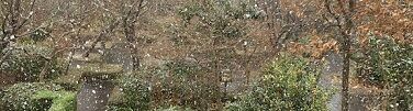 雪2