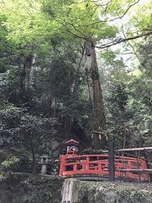 25 社(双福苑)と神木