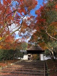 ★安楽寺紅葉2