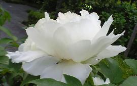 fe3d9a87.jpg