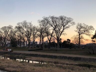 夕焼け2
