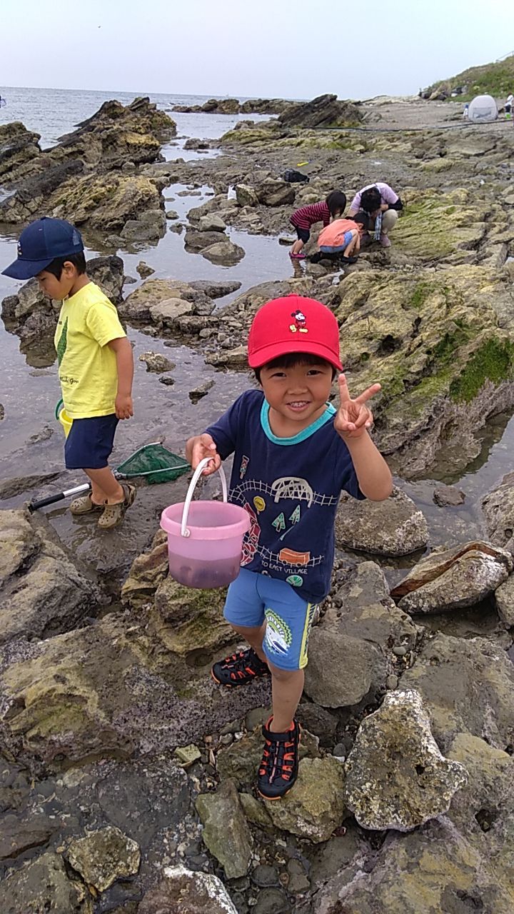 富津 金谷で磯遊び 自然のなかで暮らしたい